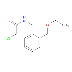 2-Chloro-N-{[2-(ethoxymethyl)phenyl]methyl}acetamide