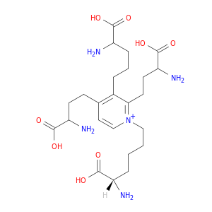 6-[3-(4-amino-4-carboxybutyl)-2,4-bis(3-amino-3-carboxypropyl)pyridinium-1-yl]norleucine