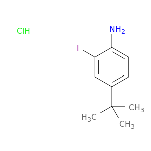 4-tert-Butyl-2-iodoaniline HCl