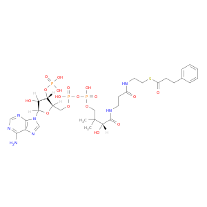 辅酶A,是-苯丙烷