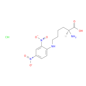 N-(2,4-二硝基苯)-L-赖氨酸盐酸盐