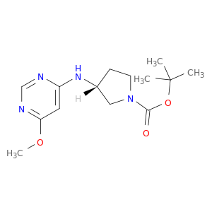 (R)-3-(6-甲氧基-嘧啶-4-基氨基)-吡咯烷-1-羧酸叔丁基酯