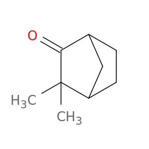 Camphenilone.