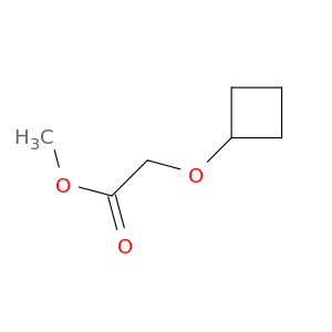 Methyl 2-Cyclobutoxyacetate