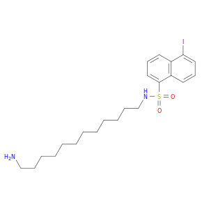 1-Naphthalenesulfonamide,N-(12-aminododecyl)-5-iodo-