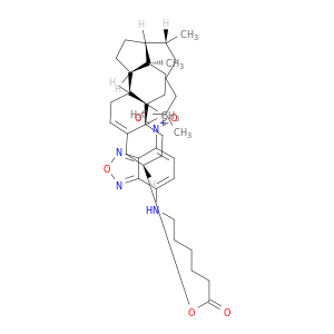 5-胆甾烯-3ß-醇6-[((7-硝基-2-1,3-苯并恶二唑-4-基)氨基]己酸