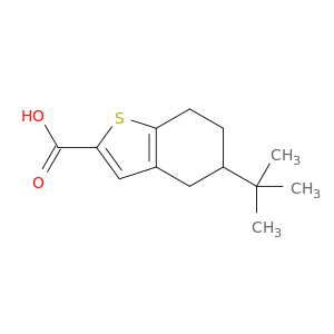 5-叔丁基-4,5,6,7-四氢-1-苯并噻吩-2-羧酸