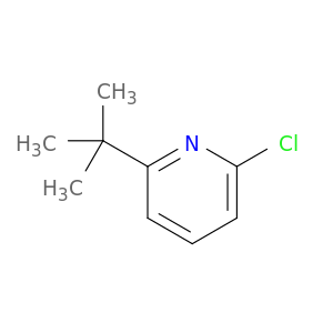 2-叔丁基-6-氯吡啶