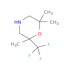 2,2,6-trimethyl-6-(trifluoromethyl)morpholine