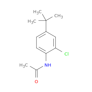 N-(4-(叔丁基)-2-氯苯基)乙酰胺