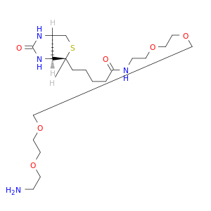 生物素-PEG4-胺