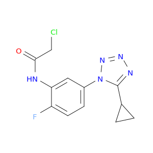 乙酰胺,2-氯-N-[5-(5-环丙基-1H-四唑-1-基)-2-氟苯基]-