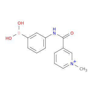 Pyridinium, 3-[[(3-boronophenyl)amino]carbonyl]-1-methyl-