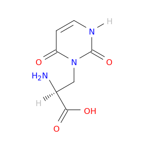(αs)-α-氨基-3,6-二氢-2,6-二氧基-1(2H)-嘧啶丙酸