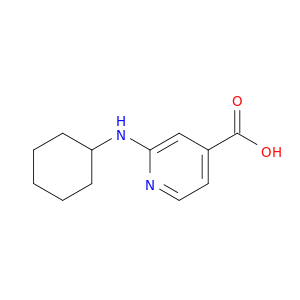 2-(Cyclohexylamino)isonicotinic acid