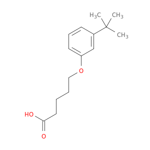 5-[3-(1,1-二甲基乙基)苯氧基]戊酸