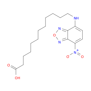 12-(7-硝基-2,1,3-苯并恶二唑-4-基氨基)十二酸
