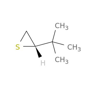 Thiirane, (1,1-dimethylethyl)-, (S)-