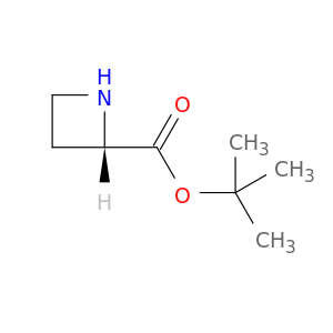 (2S)-氮杂环丁烷-2-羧酸叔丁酯