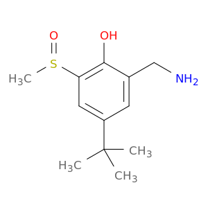 Phenol, 2-(aminomethyl)-4-(1,1-dimethylethyl)-6-(methylsulfinyl)-