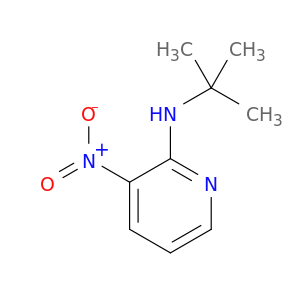 N-(1,1-二甲基乙基)-3-硝基-2-吡啶胺