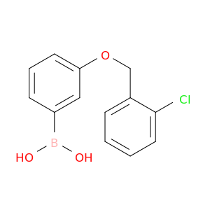 3-(2'-氯苄氧基)苯基硼酸