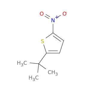Thiophene, 2-(1,1-dimethylethyl)-5-nitro-