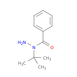 N-tert-Butylbenzohydrazide