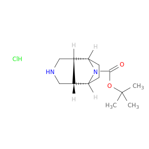 rel-(3aR,4S,7R,7aS)-八氢-4,7-亚氨基-1H-异吲哚-8-甲酸叔丁酯盐酸盐