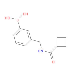 3-(环丁基甲酰胺基甲基)苯硼酸