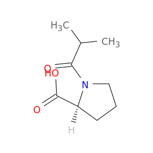 L-1-异丁酰基脯氨酸