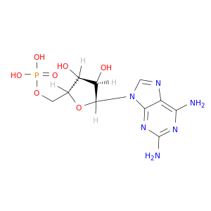 2-氨基-5'-腺苷酸