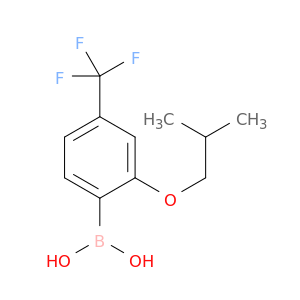 2-Isobutoxy-4-(trifluoromethyl)phenylboronic acid
