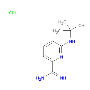 2-吡啶亚甲基咪唑,6-[(1,1-二甲基乙基)氨基]-,盐酸盐(1：1)