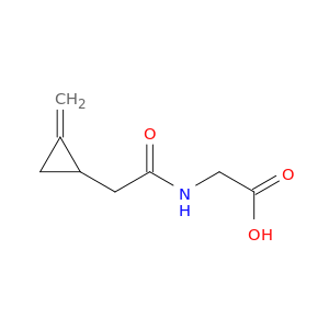 Glycine, N-[(methylenecyclopropyl)acetyl]-