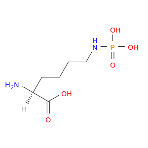 L-Lysine, N6-phosphono-