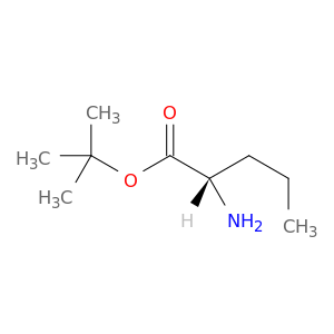 L-正缬氨酸叔丁酯