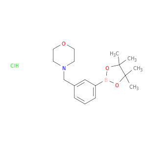 3-[(Morpholino)methyl]phenylboronic Acid Pinacol Ester Hydrochloride