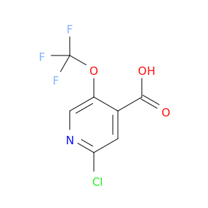 2-氯-5-(三氟甲氧基)异烟酸