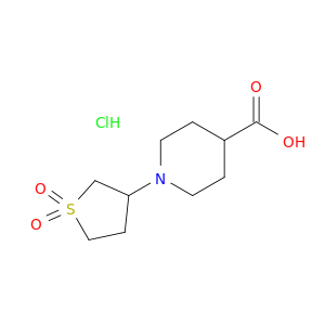 1-(1,1-Dioxo-1lambda6-thiolan-3-yl)piperidine-4-carboxylic Acid Hydrochloride