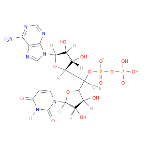 Adenosine-5-(trihydrogen diphosphate), 5-5-ester with uridine