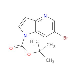 6-溴-1H-吡咯并[3,2-b]吡啶-1-羧酸叔丁酯