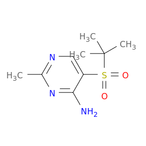 5-[(1,1-二甲基乙基)磺酰基]-2-甲基-4-嘧啶胺