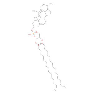 2,3-dihexadecanoyloxypropoxy-[[10,13-dimethyl-17-(6-methylheptan-2-yl)-2,3,4,7,8,9,11,12,14,15,16,17-dodecahydro-1H-cyclopenta[a]phenanthren-3-yl]oxy]phosphinic acid