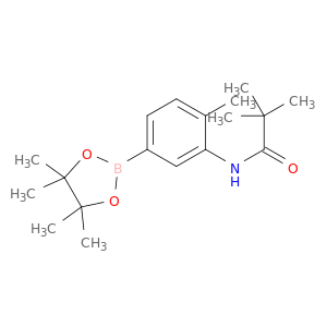 4-甲基-3-新戊酰胺基苯硼酸频那醇酯