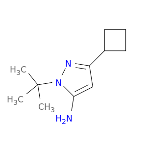 1-(叔丁基)-3-环丁基-1H-吡唑-5-胺
