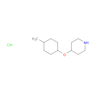 4-[(4-methylcyclohexyl)oxy]piperidine hydrochloride
