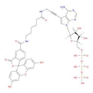 Fluorescein Alkynylamino-ATP