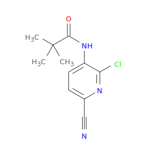N-(2-氯-6-氰基吡啶-3-基)新戊酰胺