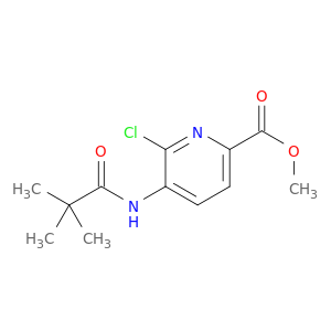6-氯-5-新戊酰氨基吡啶甲酸甲酯